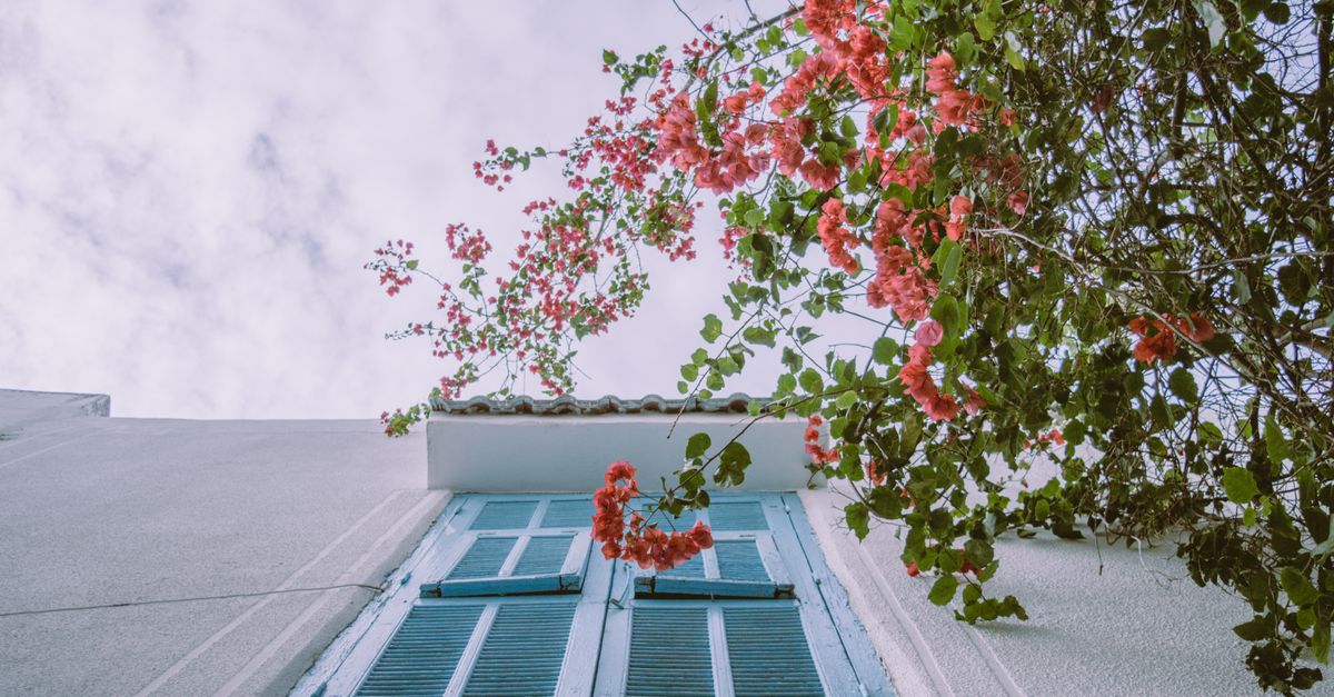 Selling Your Property in Mallorca This Spring: How to Achieve the Best Price