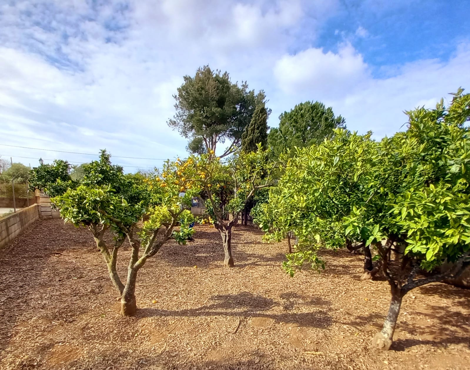 Finca Rústica en venta en Son Sardina con licencia vacacional