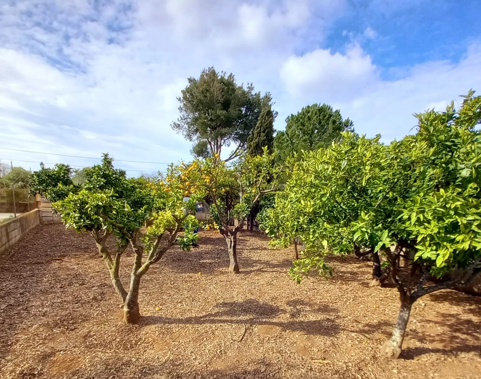 Finca Rústica en venta en Son Sardina con licencia vacacional