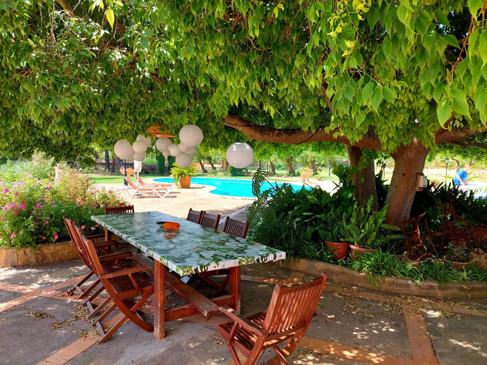 Finca Rústica en venta en Son Sardina con licencia vacacional