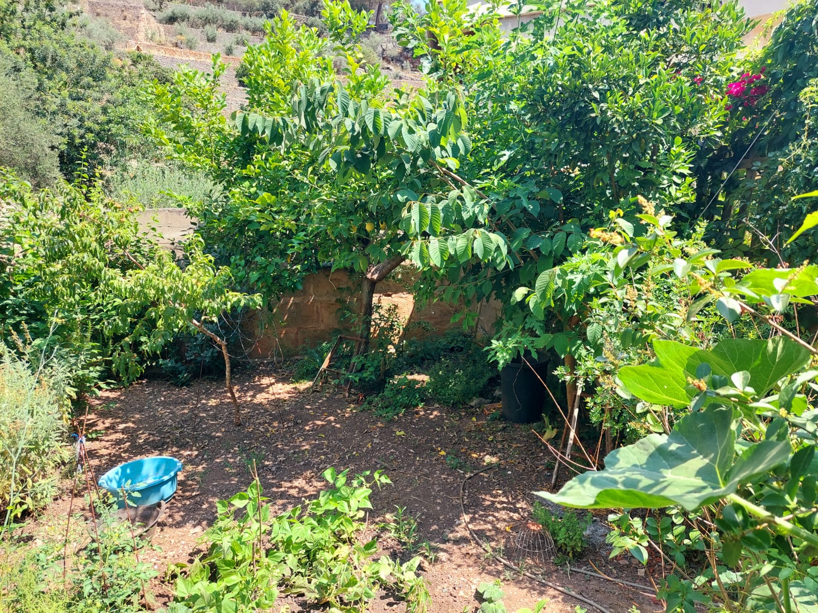 Casa en venta en el pueblo de Esporles