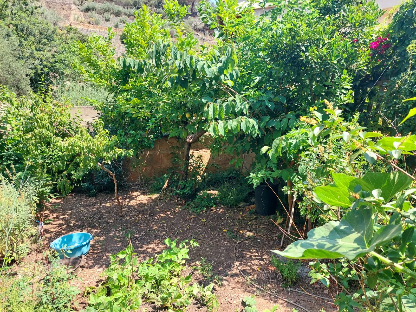Casa en venta en el pueblo de Esporles