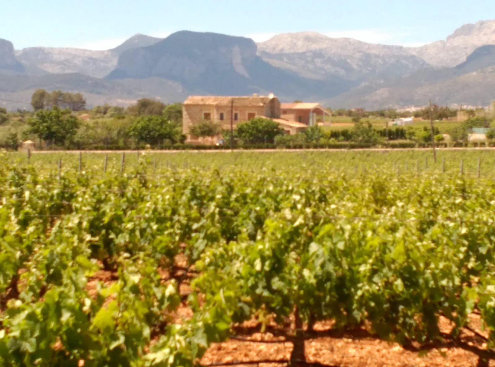 Finca Rústica en venta en Sencelles con licencia vacacional