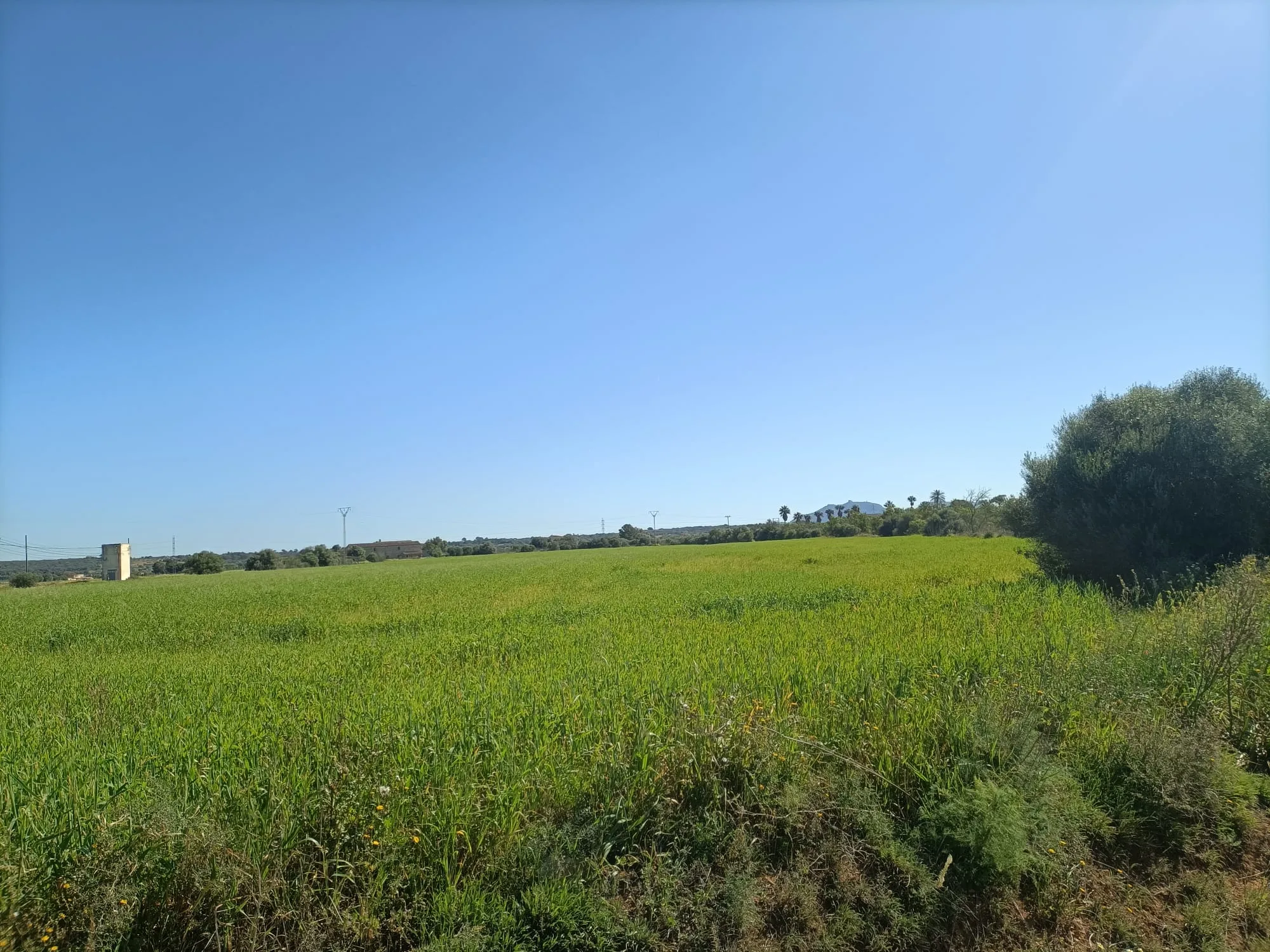Terreno edificable en venta en Campos
