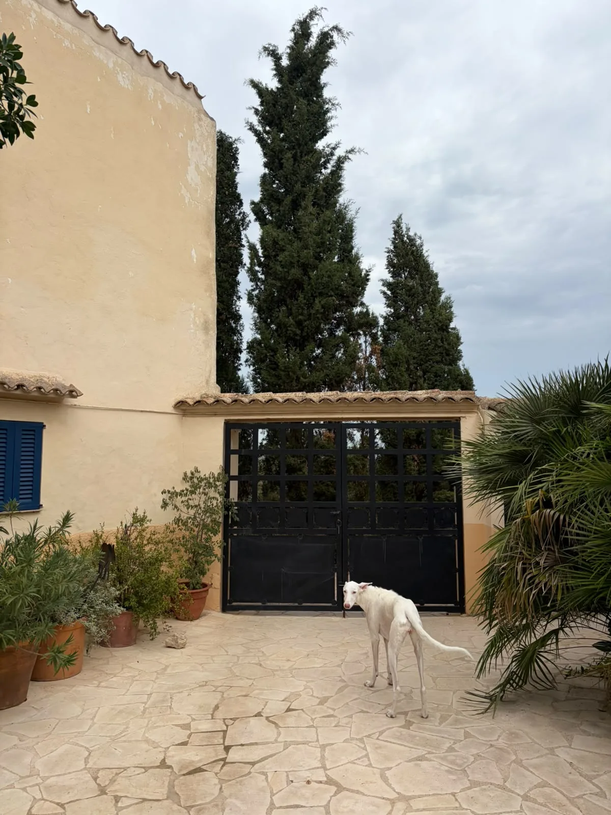 Casa de pueblo en venta en Sencelles