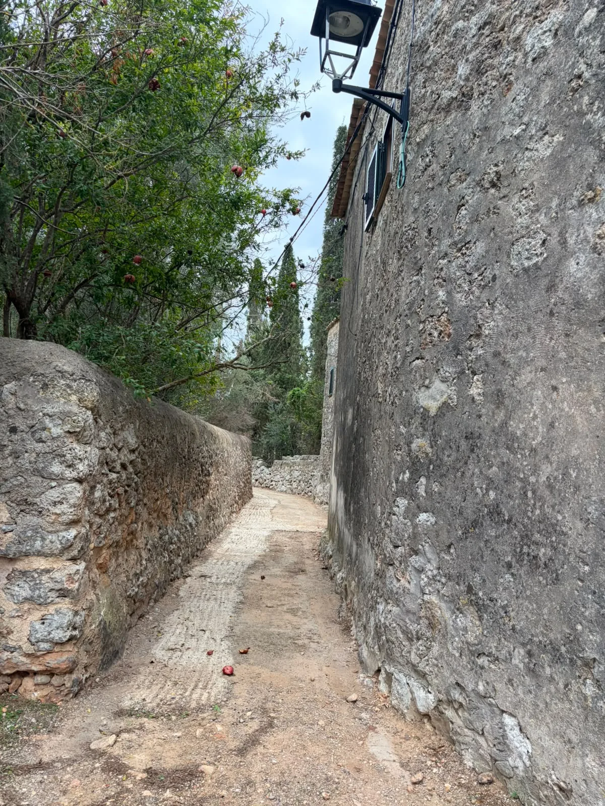 Casa de pueblo en venta en Sencelles