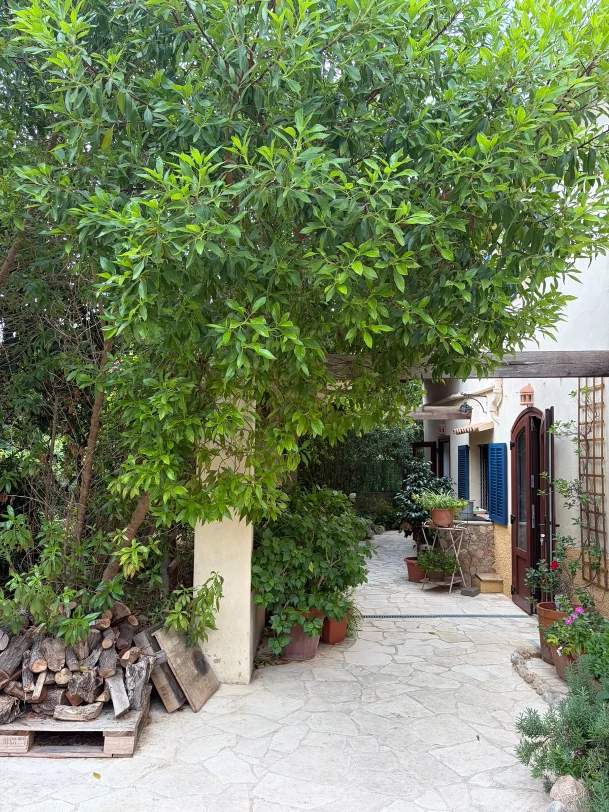 Casa de pueblo en venta en Sencelles